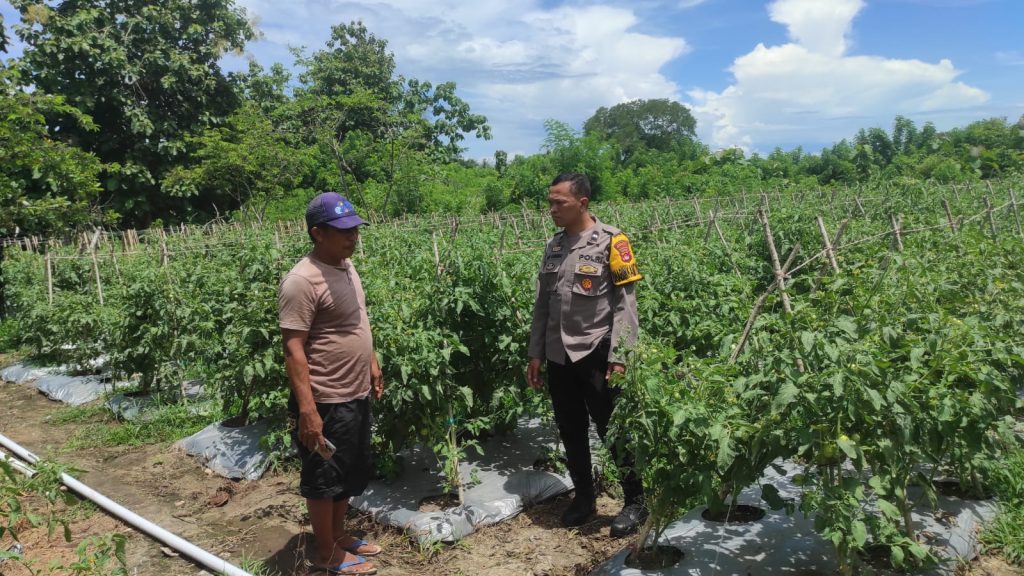 Wujudkan Ketahanan Pangan Melalui Sambang Desa