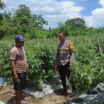 Wujudkan Ketahanan Pangan Melalui Sambang Desa