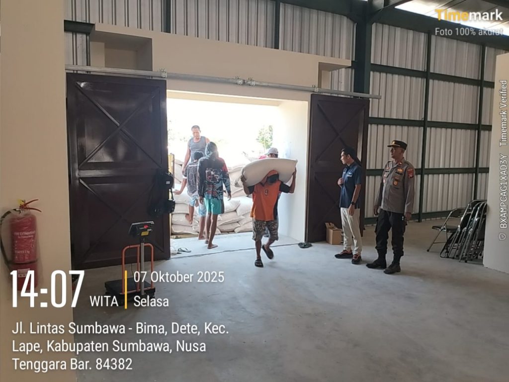 Wujudkan Ketahanan Pangan, Bulog Sumbawa Bersinergi dengan Polres Sumbawa Bantu Serap 10 Ton Jagung Petani