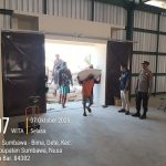 Wujudkan Ketahanan Pangan, Bulog Sumbawa Bersinergi dengan Polres Sumbawa Bantu Serap 10 Ton Jagung Petani