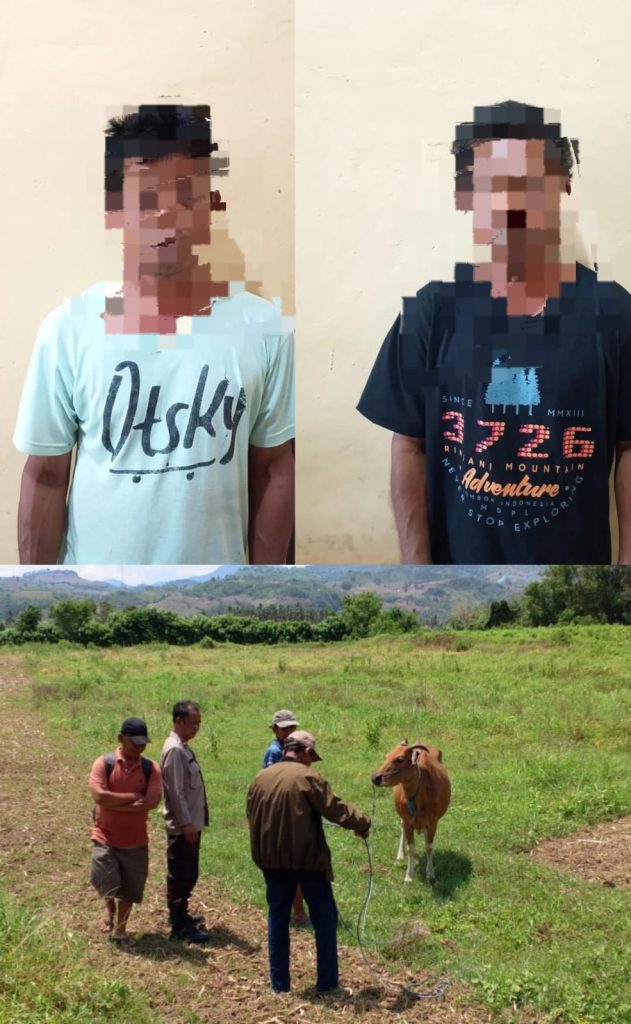 Dua Terduga Pelaku Pencurian Hewan Ternak Berhasil Diamankan Polsek Lunyuk