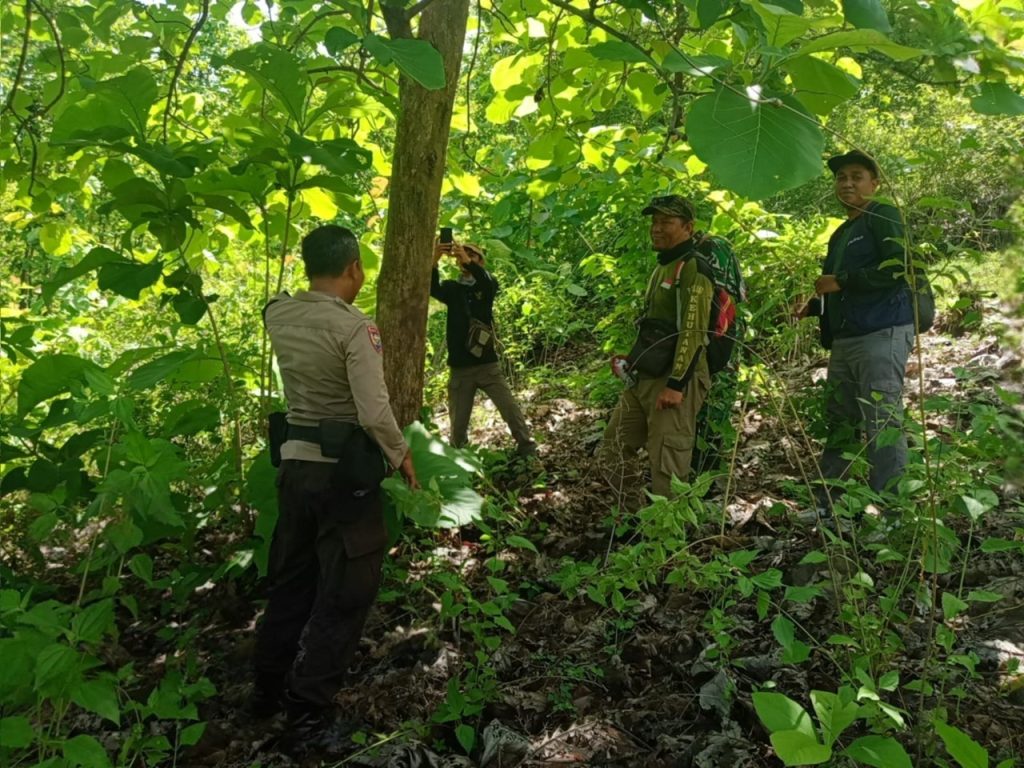 Jaga Lingkungan dan Sumber Daya Hutan, Tim Gabungan Verifikasi Potensi Jati