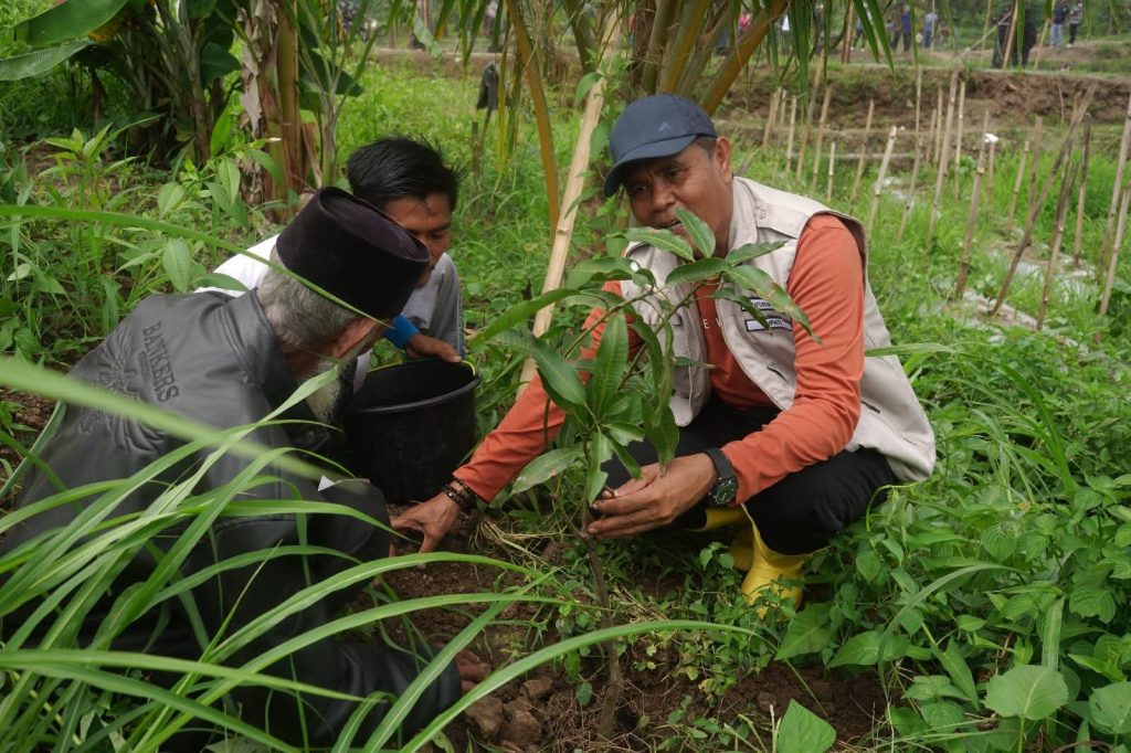 Selamatkan Hutan, Bupati Sumbawa Terus Lakukan Penanaman Pohon