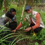 Selamatkan Hutan, Bupati Sumbawa Terus Lakukan Penanaman Pohon