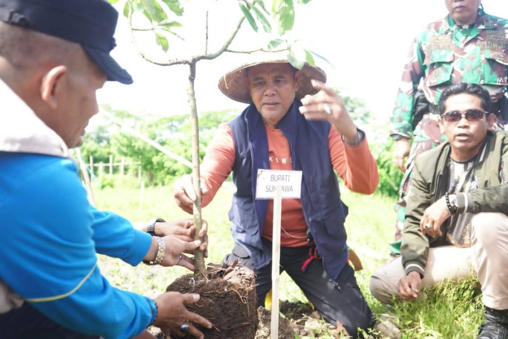 Bupati Sumbawa Tekankan Penanaman Pohon Untuk Jaga Kelestarian Hutan dan Mata Air
