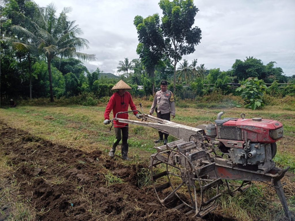 Dukung Ketahanan Pangan, Bhabinkamtibmas Desa Kalabeso Sambangi Petani di Sawah Batu Swoan