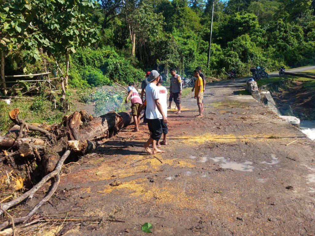 Sinergi Pasca Banjir, BKTM Desa Sempe dan Warga Kompak Bersihkan Sumbatan Kayu di Jembatan Brang Odong