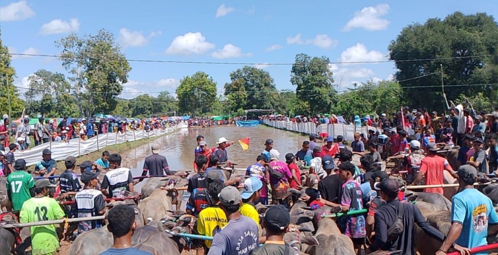 Pastikan Keamanan Tradisi Barapan Kebo, Polsek Lape Siagakan Personel