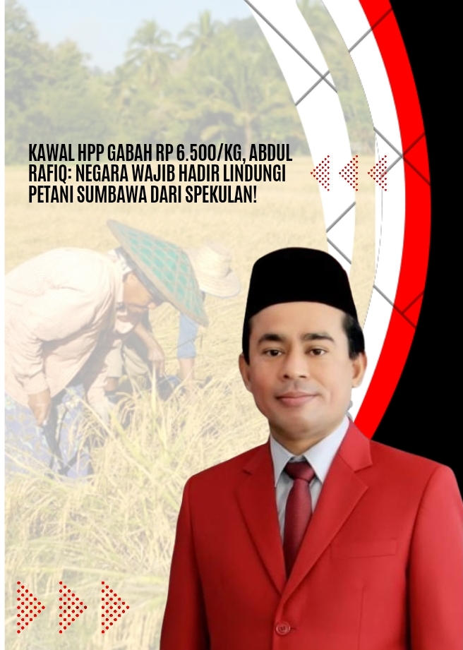 Kawal HPP Gabah Rp 6.500 per Kg, Abdul Rafiq: Negara Wajib Hadir Lindungi Petani Sumbawa