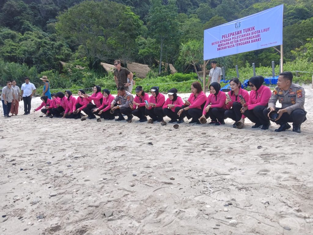 Dorong Pelestarian Penyu dan Ekosistem Pesisir Bhayangkari Polda NTB Lepas Tukik
