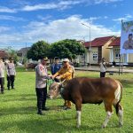 Hadir untuk Masyarakat, Polres Sumbawa Barat Bagikan Puluhan Hewan Kurban