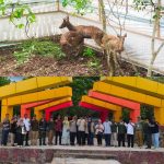 Konservasi Berjalan dengan Baik, Populasi Rusa Sumbawa di Pulau Moyo Bertambah
