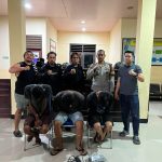 Tim Puma Polres Sumbawa Bersama Polsek Alas Ringkus Tiga Terduga Pelaku Pencurian di Toko Bangunan