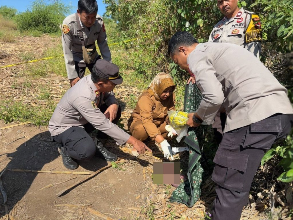 Gegerkan Warga, Jasad Bayi Ditemukan Meninggal Dunia di Lahan Jagung Depan Hotel Kencana Sumbawa